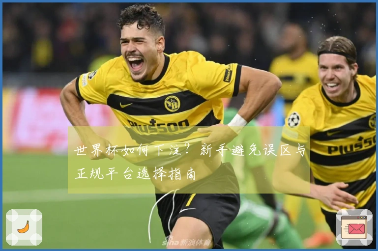 世界杯如何下注？新手避免误区与正规平台选择指南