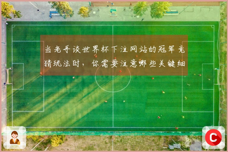 当老手谈世界杯下注网站的冠军竞猜玩法时，你需要注意哪些关键细节？