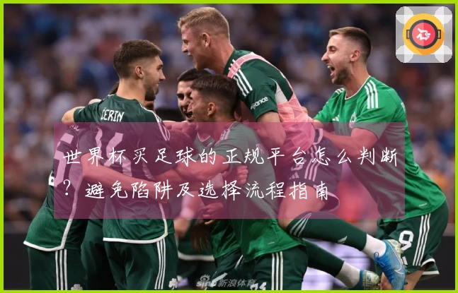 世界杯买足球的正规平台怎么判断？避免陷阱及选择流程指南