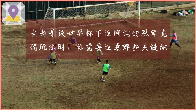 当老手谈世界杯下注网站的冠军竞猜玩法时，你需要注意哪些关键细节？