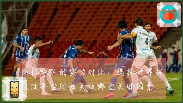 热门球队的实力对比，选择世界杯投注平台时该关注哪些关键因素