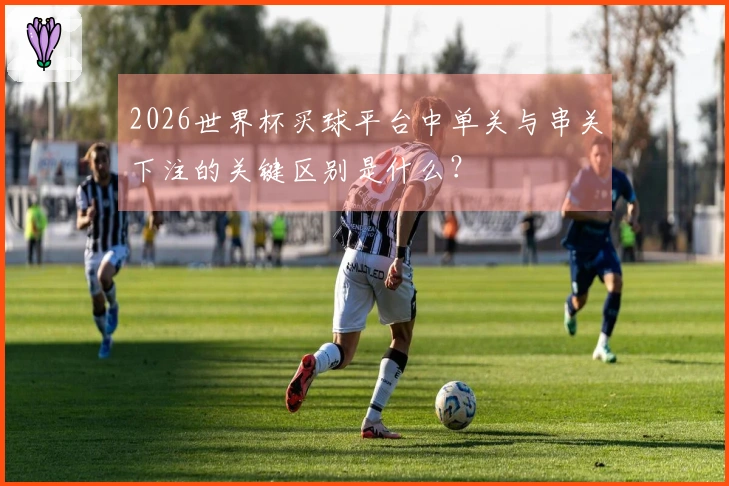 2026世界杯买球平台中单关与串关下注的关键区别是什么？