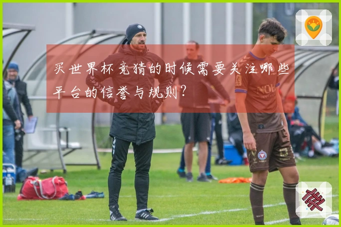 买世界杯竞猜的时候需要关注哪些平台的信誉与规则？