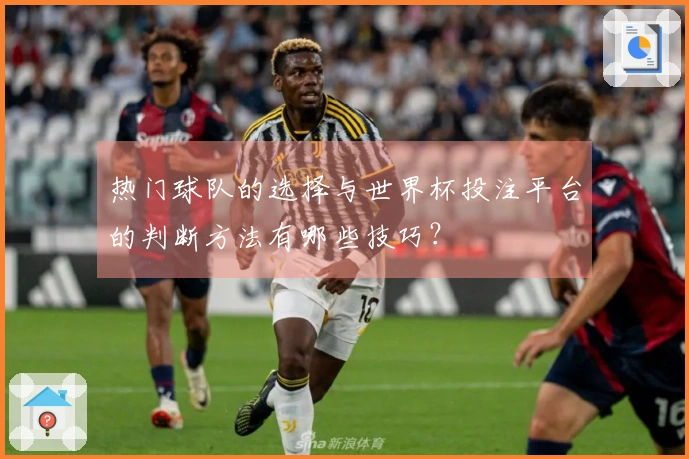 热门球队的选择与世界杯投注平台的判断方法有哪些技巧？
