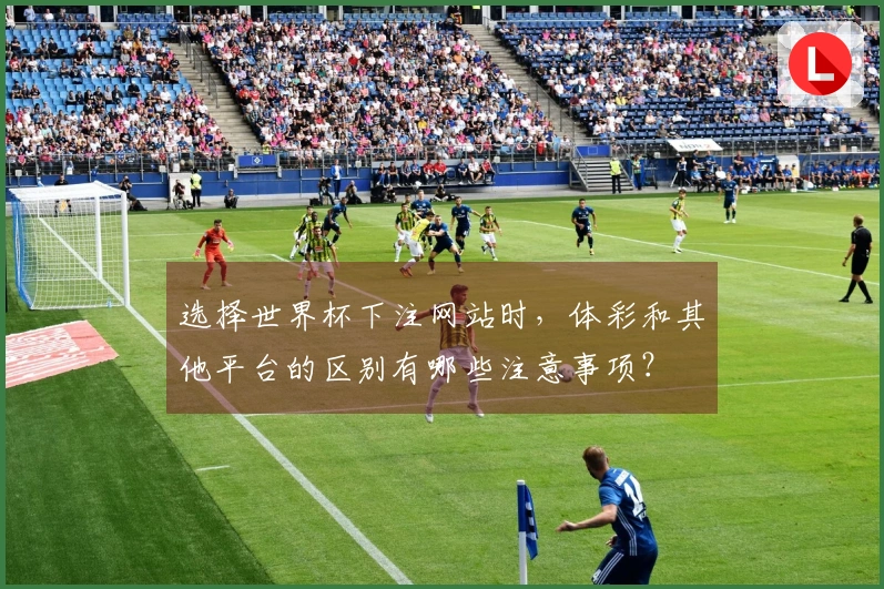 选择世界杯下注网站时，体彩和其他平台的区别有哪些注意事项？