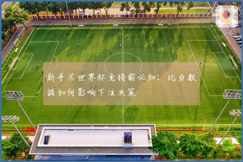 新手买世界杯竞猜前必知：比分数据如何影响下注决策