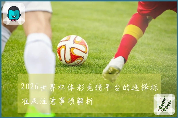 2026世界杯体彩竞猜平台的选择标准及注意事项解析