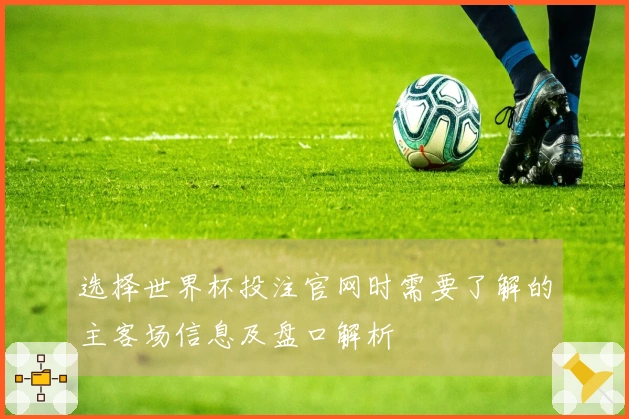 选择世界杯投注官网时需要了解的主客场信息及盘口解析