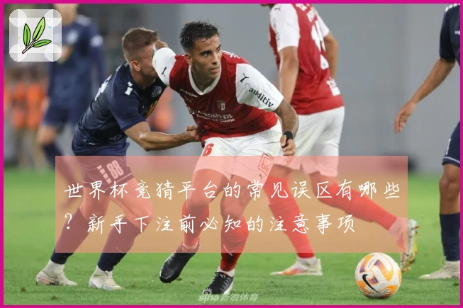 世界杯竞猜平台的常见误区有哪些？新手下注前必知的注意事项