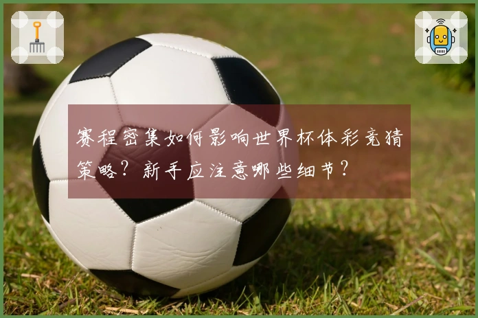 赛程密集如何影响世界杯体彩竞猜策略？新手应注意哪些细节？