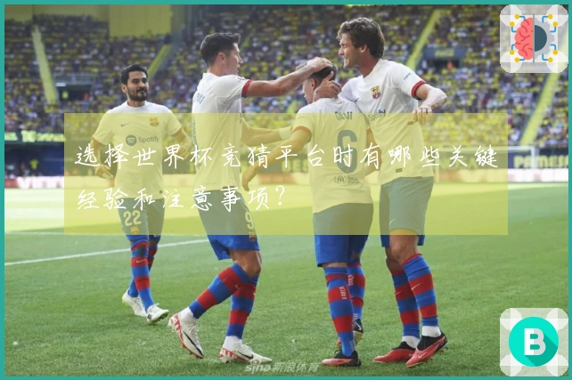 选择世界杯竞猜平台时有哪些关键经验和注意事项？
