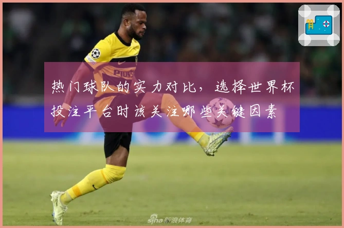 热门球队的实力对比，选择世界杯投注平台时该关注哪些关键因素