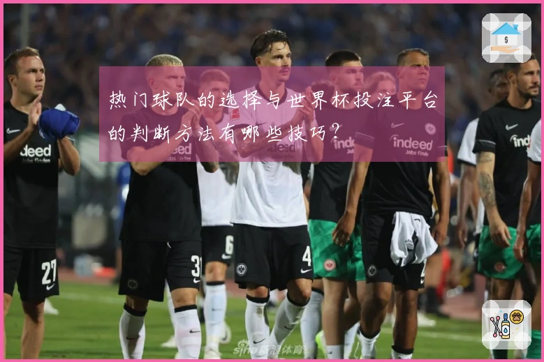 热门球队的选择与世界杯投注平台的判断方法有哪些技巧？