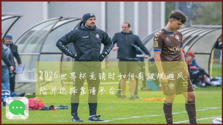 2026世界杯竞猜时如何有效规避风险并选择靠谱平台-