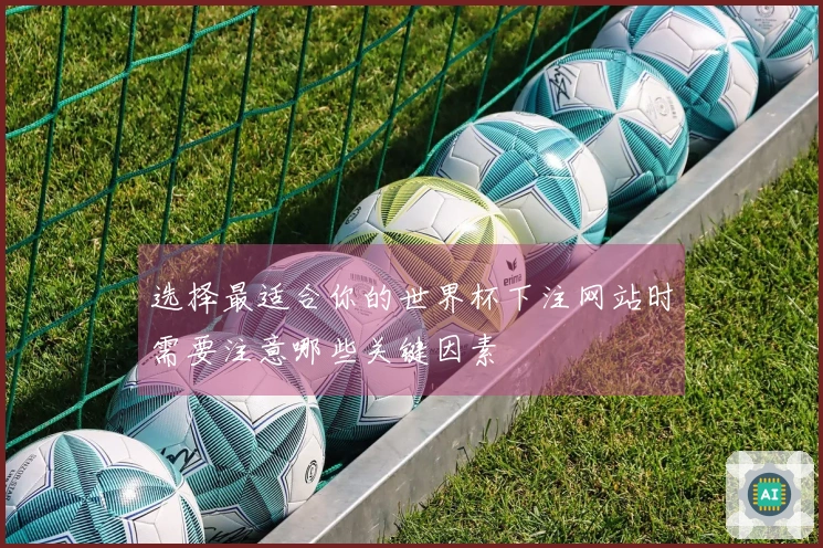 选择最适合你的世界杯下注网站时需要注意哪些关键因素