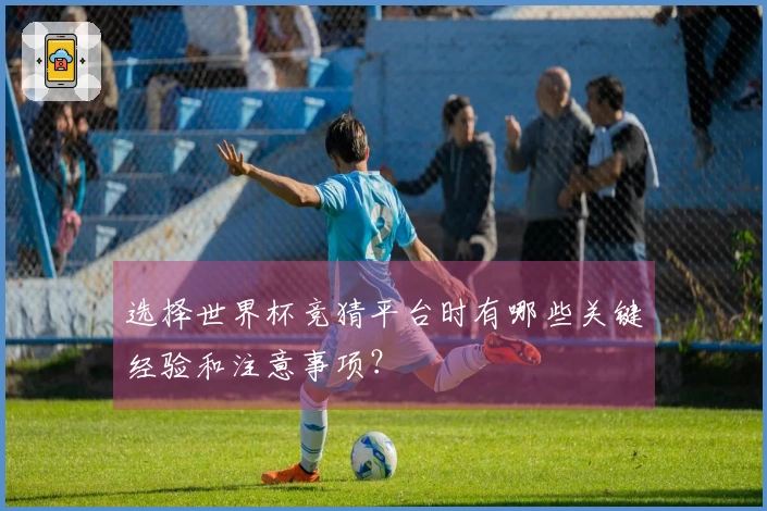 选择世界杯竞猜平台时有哪些关键经验和注意事项？