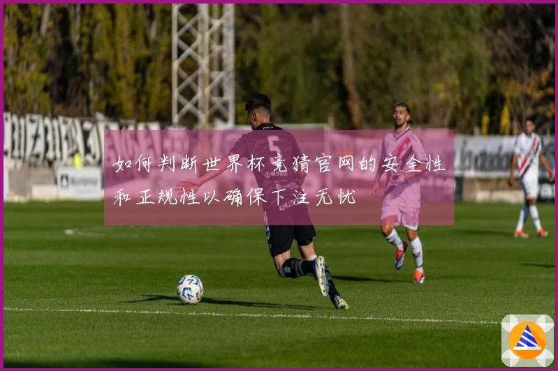 如何判断世界杯竞猜官网的安全性和正规性以确保下注无忧